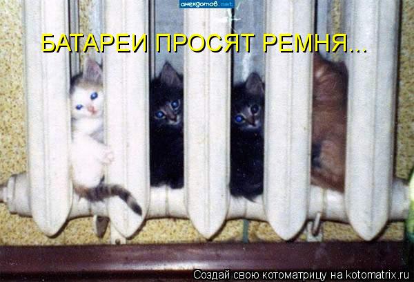 БАТАРЕИ ПРОСЯТ РЕМНЯ...... Котоматрица: БАТАРЕИ ПРОСЯТ РЕМНЯ...