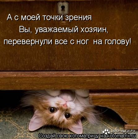 А с моей точки зрения Вы, уважаемый хозяин, перевернули все с ног на голову!... Котоматрица: А с моей точки зрения Вы, уважаемый хозяин, перевернули все с ног на голову!
