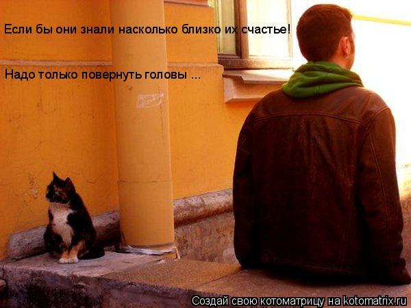 Котоматрица: Если бы они знали насколько близко их счастье! Надо только повернуть головы ...