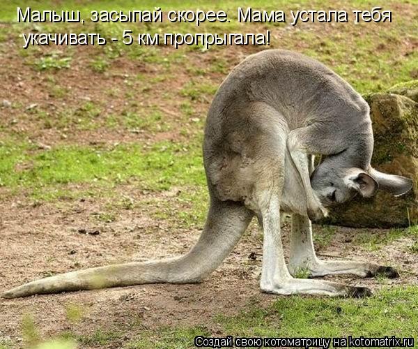 Малыш, засыпай скорее. Мама устала тебя укачивать - 5 км пропрыгала!... Котоматрица: Малыш, засыпай скорее. Мама устала тебя укачивать - 5 км пропрыгала!