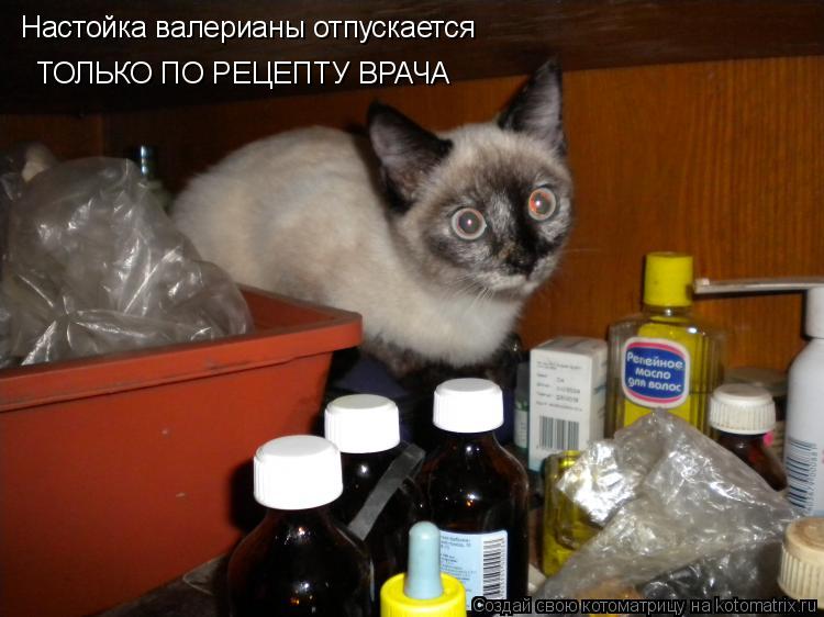 Настойка валерианы отпускается ТОЛЬКО ПО РЕЦЕПТУ ВРАЧА... Котоматрица: Настойка валерианы отпускается ТОЛЬКО ПО РЕЦЕПТУ ВРАЧА