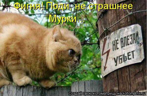 Котоматрица: Фигня! Поди, не страшнее Мурки...