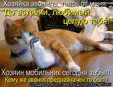 Котоматрица: Хозяйка звонила, таясь от меня: "До встречи, любимый,  целую тебя!" Хозяин мобильник сегодня забыл. Кому же звонок предназначен то был?
