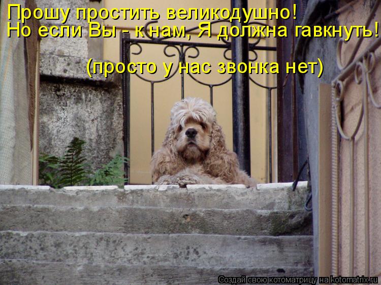 Котоматрица: Прошу простить великодушно! Но если Вы - к нам, Я должна гавкнуть! (просто у нас звонка нет)