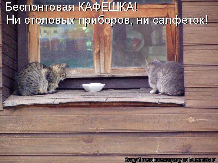 Котоматрица: Беспонтовая КАФЕШКА! Ни столовых приборов, ни салфеток!