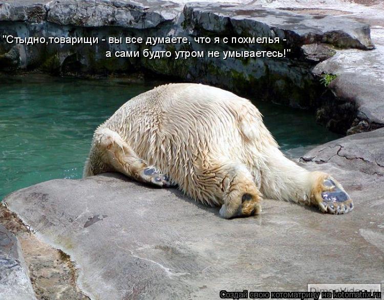 "Стыдно,товарищи - вы все думаете, что я с похмелья - а сами будто утром не умываетесь!"... Котоматрица: "Стыдно,товарищи - вы все думаете, что я с похмелья - а сами будто утром не умываетесь!"