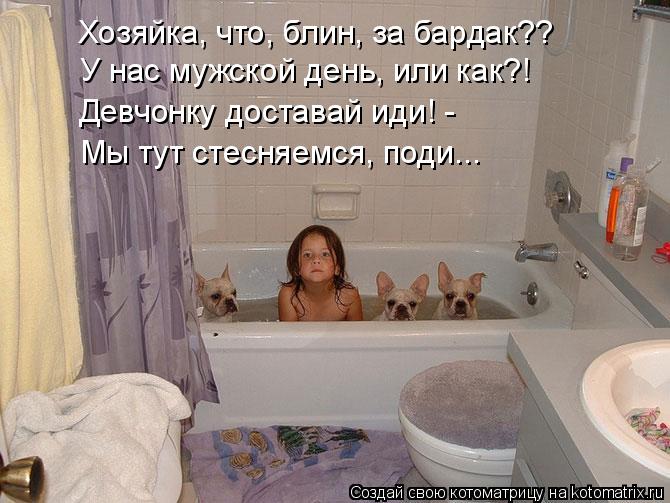 Котоматрица: Хозяйка, что, блин, за бардак?? У нас мужской день, или как?! Девчонку доставай иди! - Мы тут стесняемся, поди...