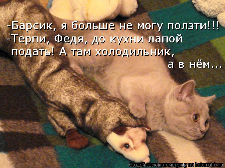 -Барсик, я больше не могу ползти!!! -Терпи, Федя, до кухни лапой подать! А там холодильник, а в нё... Котоматрица: -Барсик, я больше не могу ползти!!! -Терпи, Федя, до кухни лапой подать! А там холодильник, а в нём...