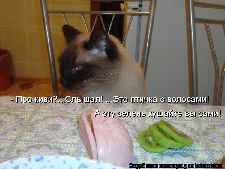 Котоматрица: - Про киви?...Слышал! ...Это птичка с волосами! А эту зелень кушайте вы сами!