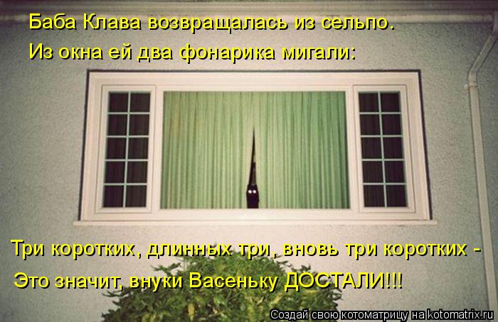 Котоматрица: Баба Клава возвращалась из сельпо. Из окна ей два фонарика мигали: Три коротких, длинных три, вновь три коротких - Это значит, внуки Васеньку 