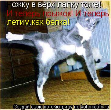 Ножку в верх лапку тоже! И теперь прыжок! И теперь летим как белка! летим как белка!... Котоматрица: Ножку в верх лапку тоже! И теперь прыжок! И теперь летим как белка! летим как белка!
