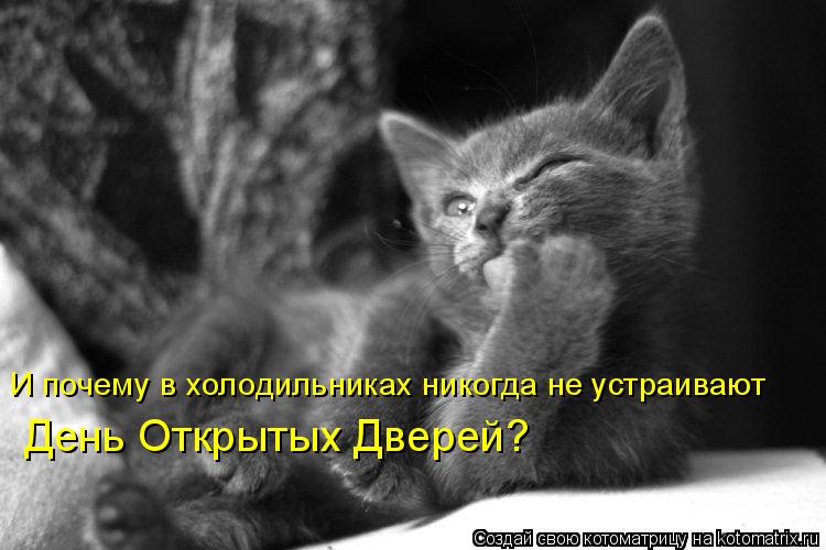 И почему в холодильниках никогда не устраивают День Открытых Дверей?... Котоматрица: И почему в холодильниках никогда не устраивают День Открытых Дверей?
