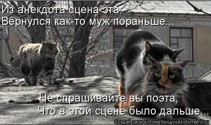 Вернулся как-то муж пораньше... Из анекдота сцена эта: Что в этой сцене было дальше... Не спрашивайте... Котоматрица: Вернулся как-то муж пораньше... Из анекдота сцена эта: Что в этой сцене было дальше... Не спрашивайте вы поэта,
