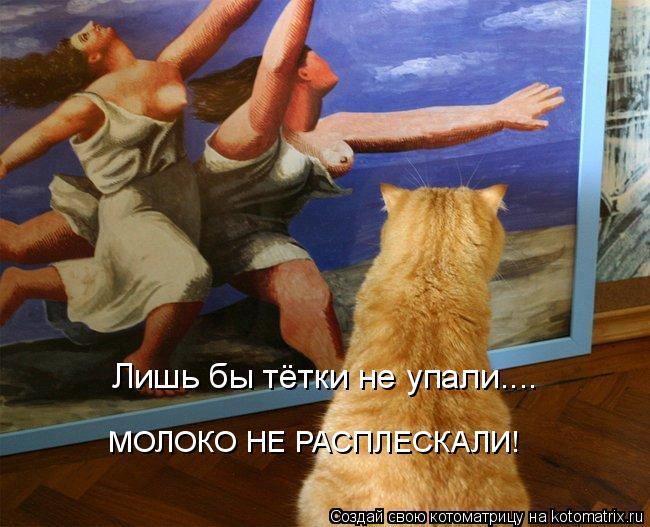 Лишь бы тётки не упали.... МОЛОКО НЕ РАСПЛЕСКАЛИ!... Котоматрица: Лишь бы тётки не упали.... МОЛОКО НЕ РАСПЛЕСКАЛИ!