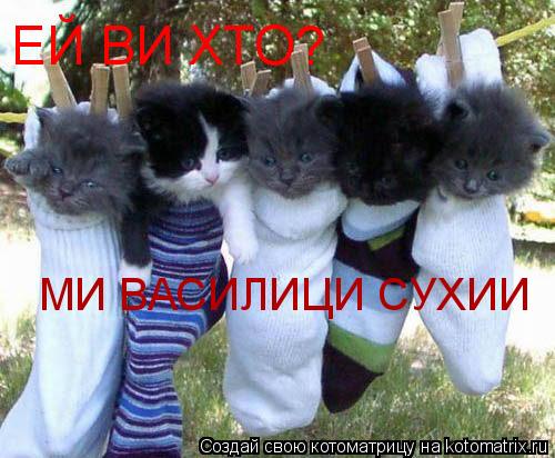 ЕЙ ВИ ХТО? МИ ВАСИЛИЦИ СУХИИ... Котоматрица: ЕЙ ВИ ХТО? МИ ВАСИЛИЦИ СУХИИ