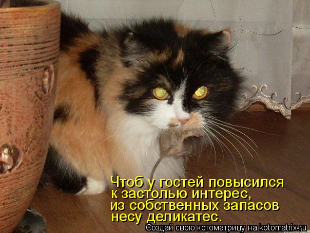Котоматрица: Чтоб у гостей повысился к застолью интерес, из собственных запасов  несу деликатес.