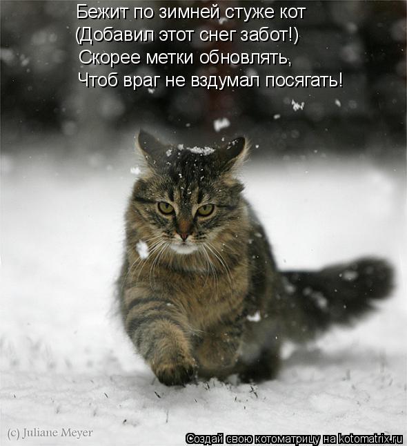 Котоматрица: Бежит по зимней стуже кот (Добавил этот снег забот!) Скорее метки обновлять,  Чтоб враг не вздумал посягать!