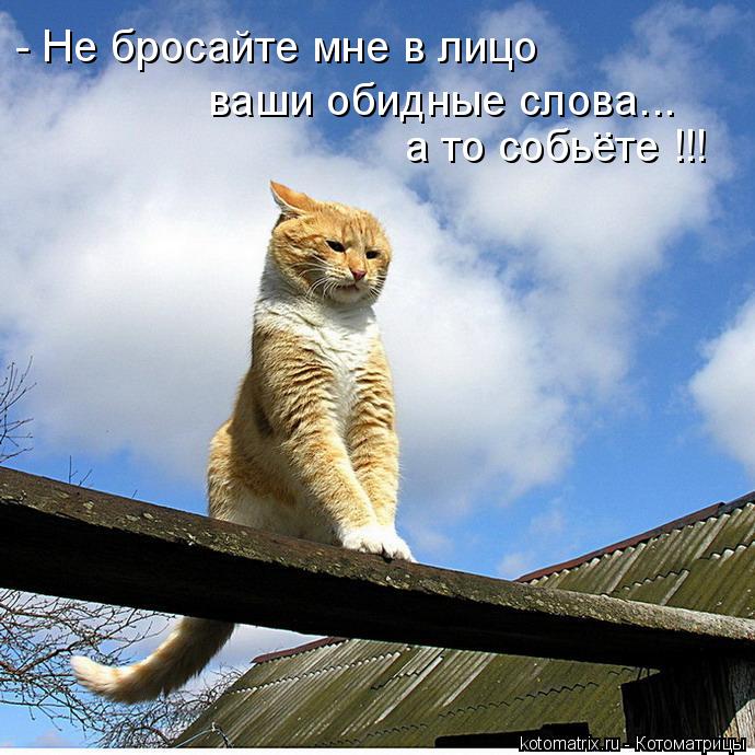 - Не бросайте мне в лицо а то собьете !!! .. ваши обидные слова...... Котоматрица: - Не бросайте мне в лицо а то собьете !!! .. ваши обидные слова...