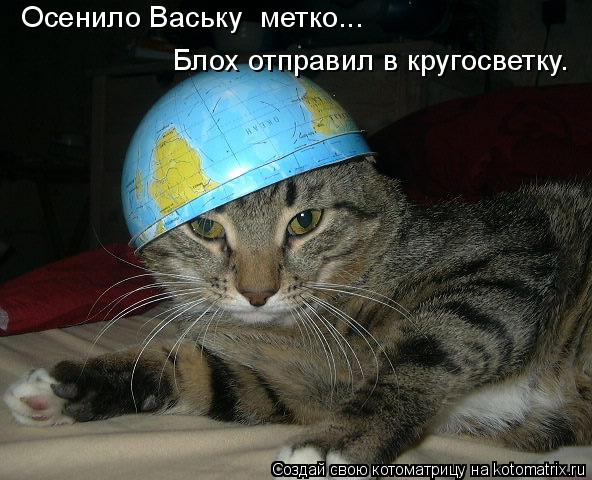 Котоматрица: Осенило Ваську  метко... Блох отправил в кругосветку.