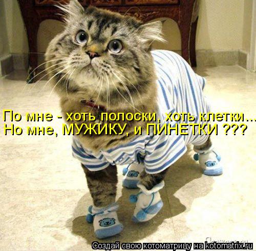 Котоматрица: Но мне, МУЖИКУ, и ПИНЕТКИ ??? По мне - хоть полоски, хоть клетки...