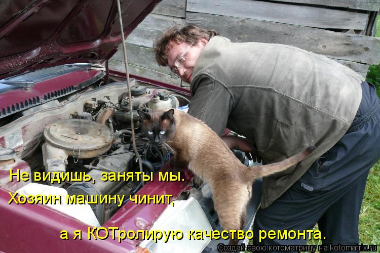 Не видишь, заняты мы. Хозяин машину чинит, а я КОТролирую качество ремонта.... Котоматрица: Не видишь, заняты мы. Хозяин машину чинит, а я КОТролирую качество ремонта.