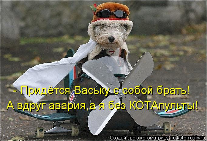 А вдруг авария,а я без КОТАпульты! - Придётся Ваську с собой брать!... Котоматрица: А вдруг авария,а я без КОТАпульты! - Придётся Ваську с собой брать!