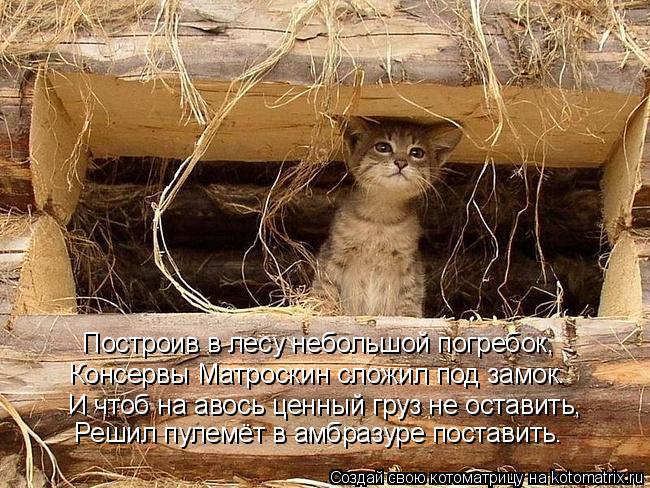 Построив в лесу небольшой погребок, Консервы Матроскин сложил под замок. И чтоб на авось ценный груз ... Котоматрица: Построив в лесу небольшой погребок, Консервы Матроскин сложил под замок. И чтоб на авось ценный груз не оставить, Решил пулемёт в амбразуре