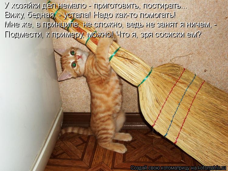 У хозяйки дел немало - приготовить, постирать... Вижу, бедная, - устала! Надо как-то помогать! Мне же... Котоматрица: У хозяйки дел немало - приготовить, постирать... Вижу, бедная, - устала! Надо как-то помогать! Мне же, в принципе, не сложно, ведь не занят я ниче