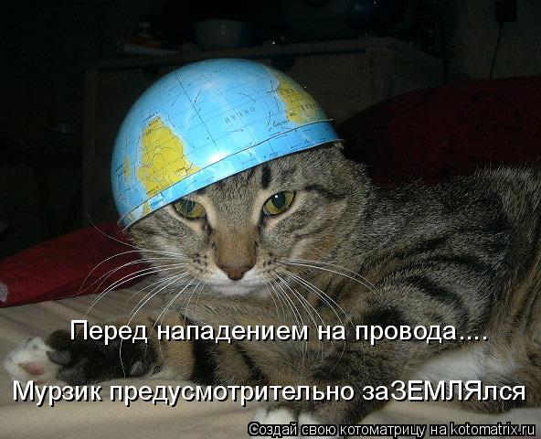 Перед нападением на провода.... Мурзик предусмотрительно заЗЕМЛЯлся... Котоматрица: Перед нападением на провода.... Мурзик предусмотрительно заЗЕМЛЯлся