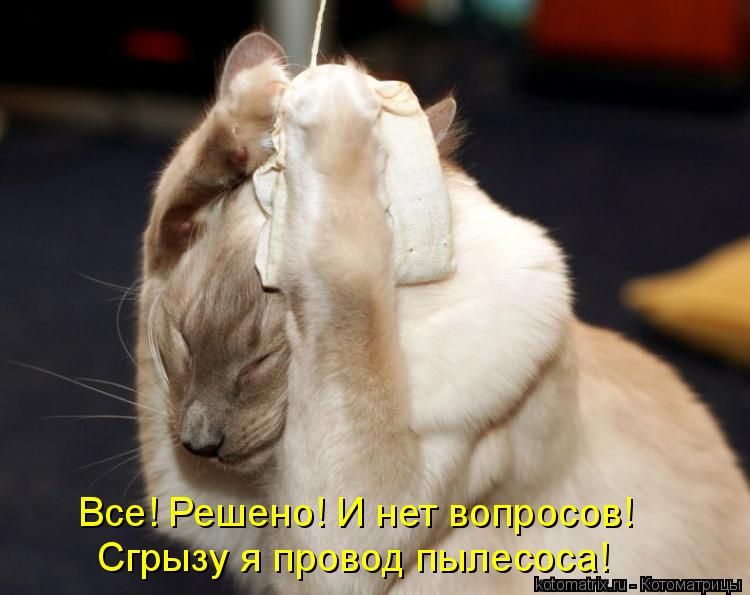 Все! Решено! И нет вопросов! Сгрызу я провод пылесоса!... Котоматрица: Все! Решено! И нет вопросов! Сгрызу я провод пылесоса!
