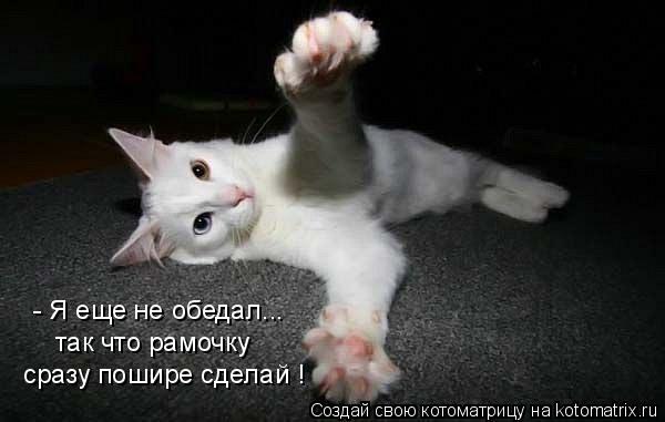 - Я еще не обедал... так что рамочку сразу пошире сделай !... Котоматрица: - Я еще не обедал... так что рамочку сразу пошире сделай !