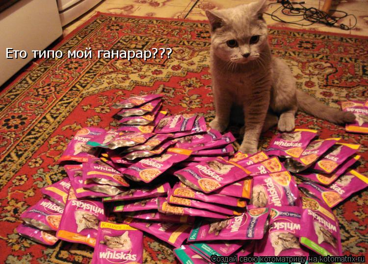 Котоматрица: Ето типо мой ганарар???