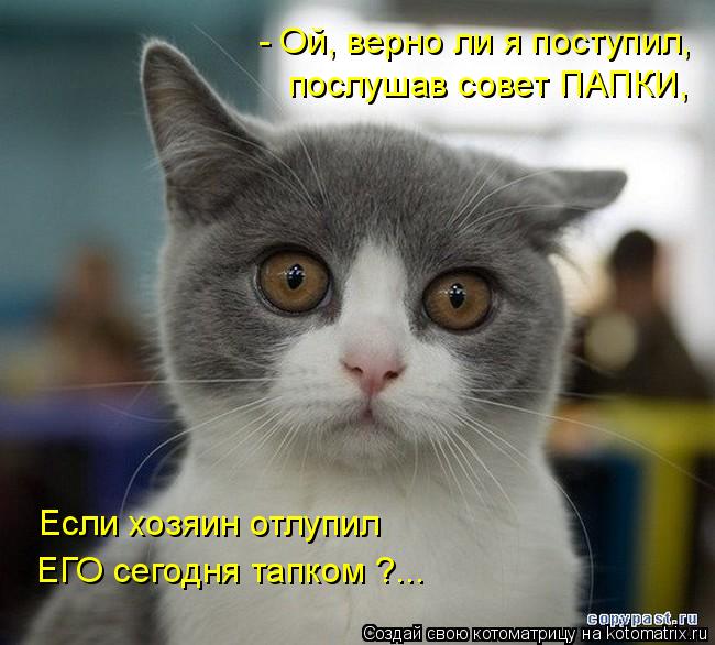 - Ой, верно ли я поступил, послушав совет ПАПКИ, Если хозяин отлупил ЕГО сегодня тапком ?...... Котоматрица: - Ой, верно ли я поступил, послушав совет ПАПКИ, Если хозяин отлупил ЕГО сегодня тапком ?...