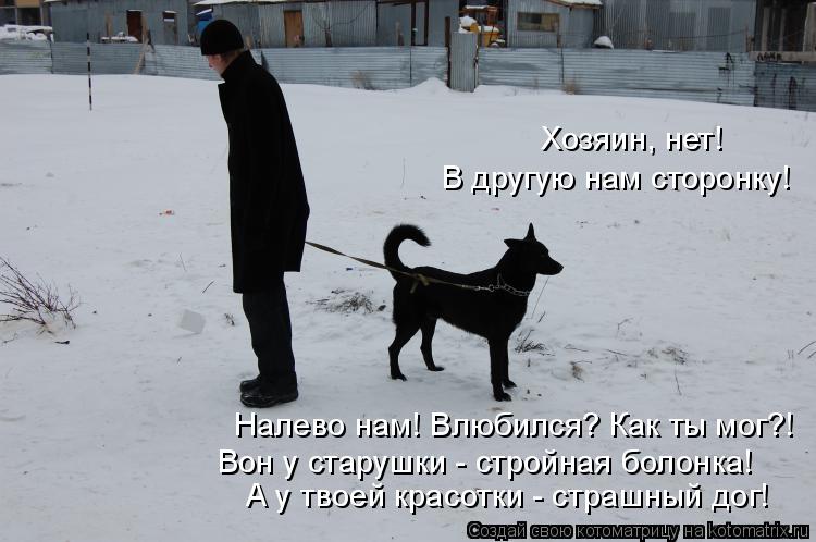 Вон у старушки - стройная болонка! А у твоей красотки - страшный дог! В другую нам сторонку! Хозяин, ... Котоматрица: Вон у старушки - стройная болонка! А у твоей красотки - страшный дог! В другую нам сторонку! Хозяин, нет! Налево нам! Влюбился? Как ты мог?!