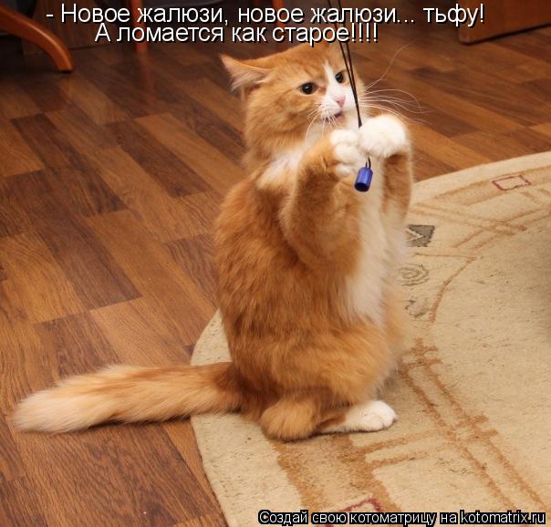 - Новое жалюзи, новое жалюзи... тьфу! А ломается как старое!!!!... Котоматрица: - Новое жалюзи, новое жалюзи... тьфу! А ломается как старое!!!!