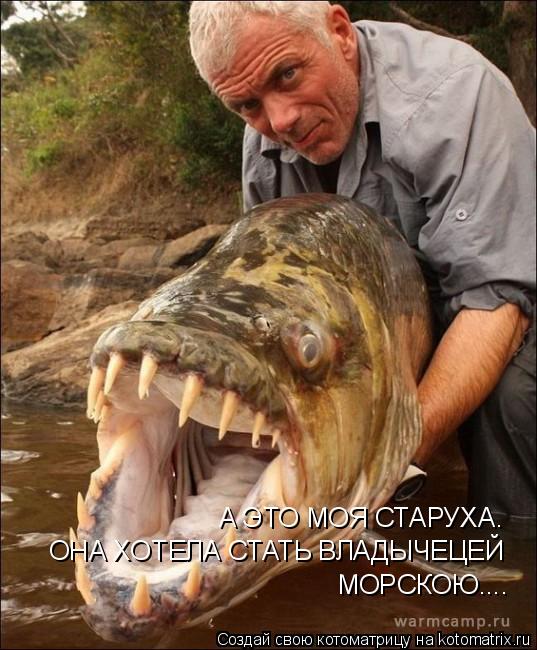 А ЭТО МОЯ СТАРУХА. ОНА ХОТЕЛА СТАТЬ ВЛАДЫЧЕЦЕЙ МОРСКОЮ....... Котоматрица: А ЭТО МОЯ СТАРУХА. ОНА ХОТЕЛА СТАТЬ ВЛАДЫЧЕЦЕЙ МОРСКОЮ....