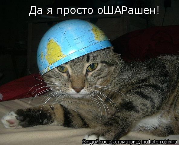 Да я просто оШАРашен!... Котоматрица: Да я просто оШАРашен!