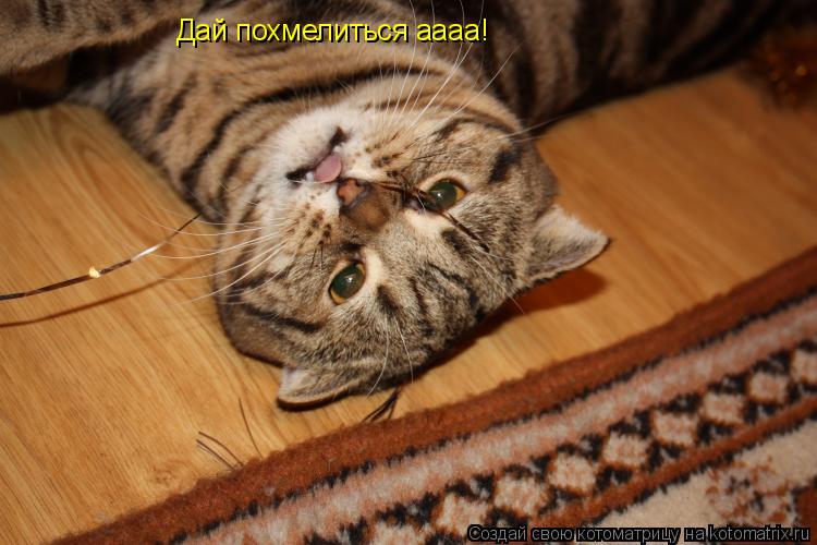 ДАЙ ПОХМЕЛИТЬСЯ ДАЙ MP3 СКАЧАТЬ БЕСПЛАТНО ДАЙ ПОХМЕЛИТЬСЯ ДАЙ MP3 СКАЧАТЬ БЕСПЛАТНО