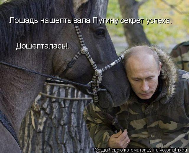 Лошадь нашёптывала Путину секрет успеха. Дошепталась!..... Котоматрица: Лошадь нашёптывала Путину секрет успеха. Дошепталась!..