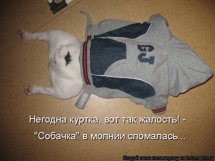 Негодна куртка, вот так жалость! - "Собачка" в молнии сломалась...... Котоматрица: Негодна куртка, вот так жалость! - "Собачка" в молнии сломалась...