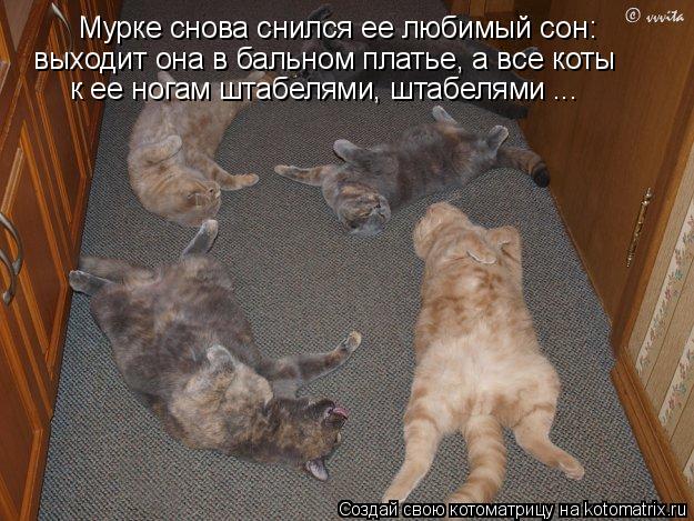 Котоматрица: Мурке снова снился ее любимый сон: выходит она в бальном платье, а все коты к ее ногам штабелями, штабелями ...