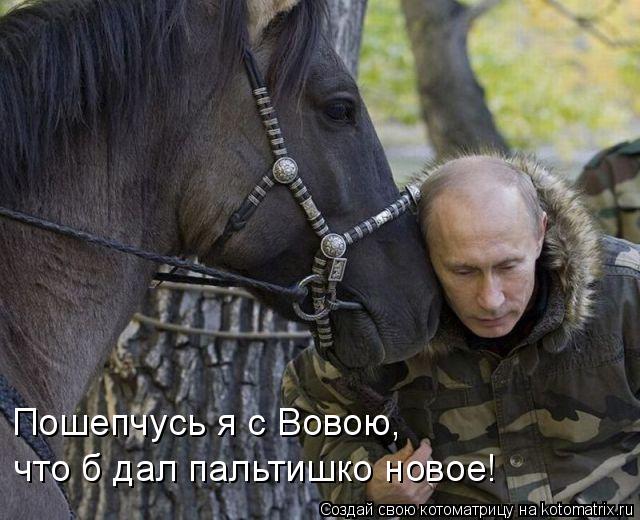 Пошепчусь я с Вовою, что б дал пальтишко новое!... Котоматрица: Пошепчусь я с Вовою, что б дал пальтишко новое!