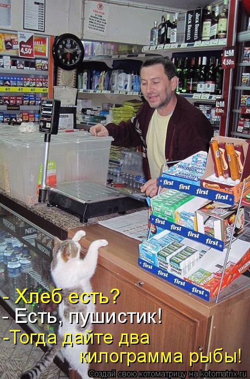 - Хлеб есть? - Есть, пушистик! -Тогда дайте два килограмма рыбы!... Котоматрица: - Хлеб есть? - Есть, пушистик! -Тогда дайте два килограмма рыбы!