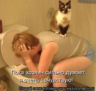 Котоматрица: Пока хозяин сильно думает,  я очень сочувствую!