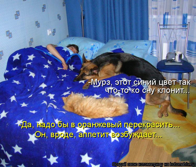-Да, надо бы в оранжевый перекрасить... Он, вроде, аппетит возбуждает... -Мурз, этот синий цвет так ... Котоматрица: -Да, надо бы в оранжевый перекрасить... Он, вроде, аппетит возбуждает... -Мурз, этот синий цвет так что-то ко сну клонит...