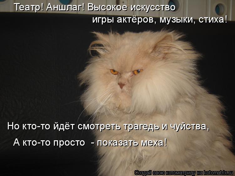 Театр! Аншлаг! Высокое искусство Но кто-то йдёт смотреть трагедь и чуйства, игры актёров, музыки, сти... Котоматрица: Театр! Аншлаг! Высокое искусство Но кто-то йдёт смотреть трагедь и чуйства, игры актёров, музыки, стиха! А кто-то просто - показать меха!