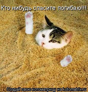Кто нибудь спасите погибаю!!!... Котоматрица: Кто нибудь спасите погибаю!!!