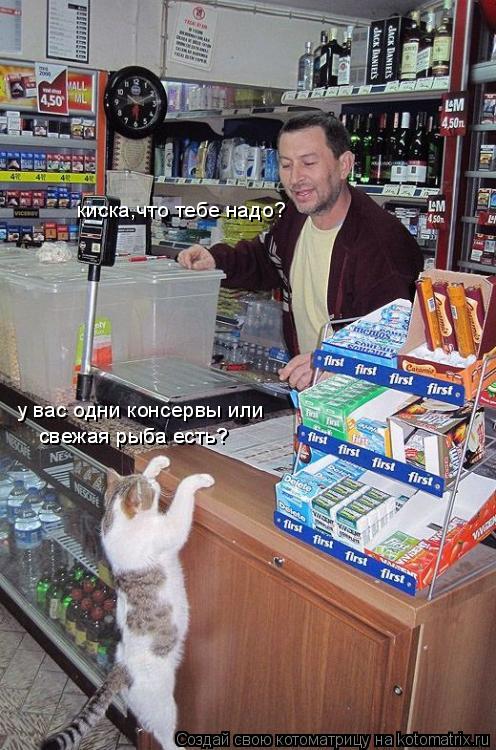киска,что тебе надо? у вас одни консервы или свежая рыба есть? свежая рыба есть?... Котоматрица: киска,что тебе надо? у вас одни консервы или свежая рыба есть? свежая рыба есть?