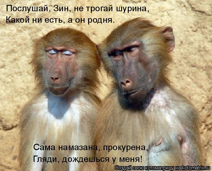 Послушай, Зин, не трогай шурина, Какой ни есть, а он родня. Сама намазана, прокурена, Гляди, дождешьс... Котоматрица: Послушай, Зин, не трогай шурина, Какой ни есть, а он родня. Сама намазана, прокурена, Гляди, дождешься у меня!
