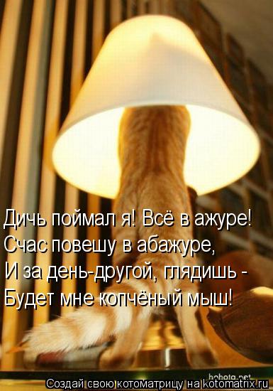 Дичь поймал я! Всё в ажуре! Счас повешу в абажуре, И за день-другой, глядишь - Будет мне копчёный мыш... Котоматрица: Дичь поймал я! Всё в ажуре! Счас повешу в абажуре, И за день-другой, глядишь - Будет мне копчёный мыш!